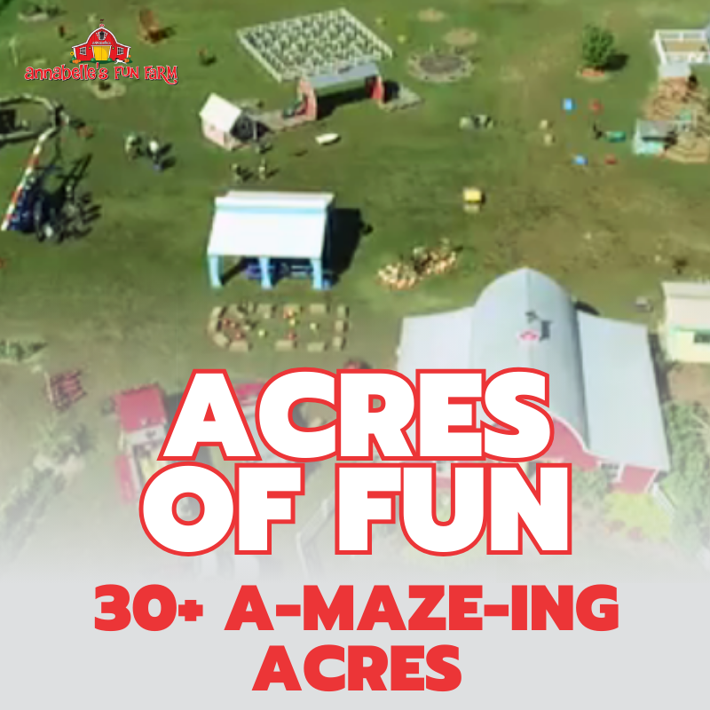 Black Friday Sale - 2026 Day Pass and Voucher