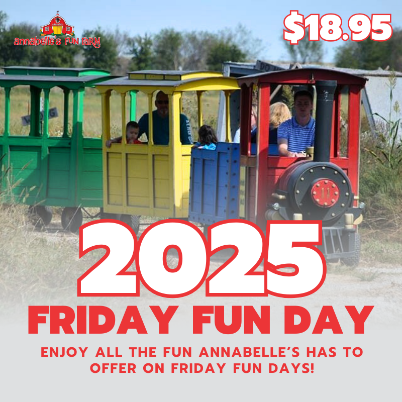 2025 Friday Fun Day Pass $18.95