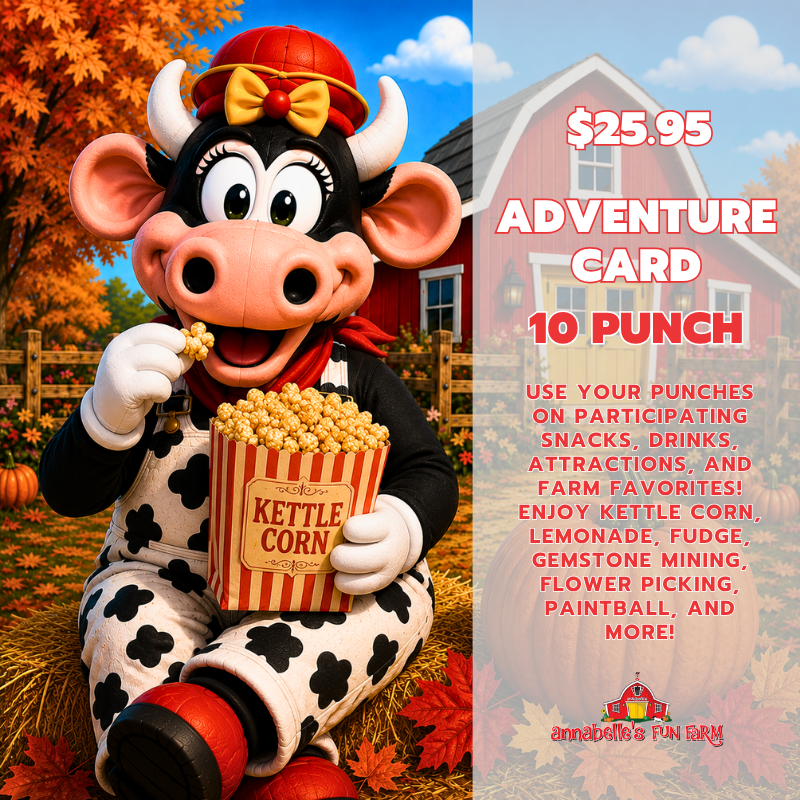 10 Punch Adventure Card