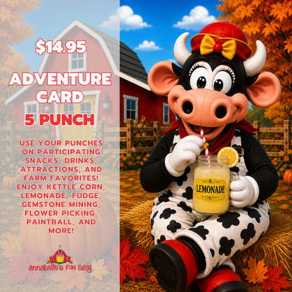 5 Punch Adventure Card